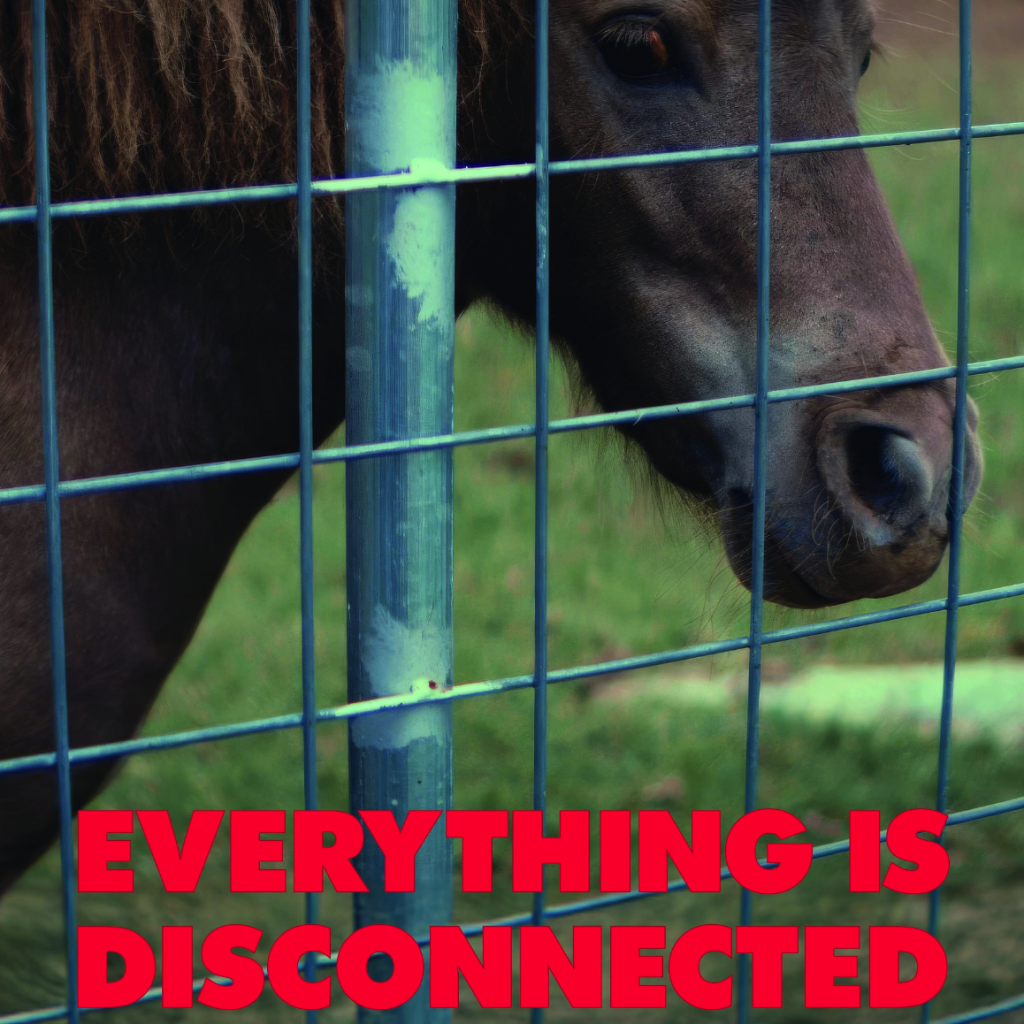 Sound mixer and recordist for this short film